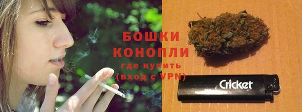 амф Ельня