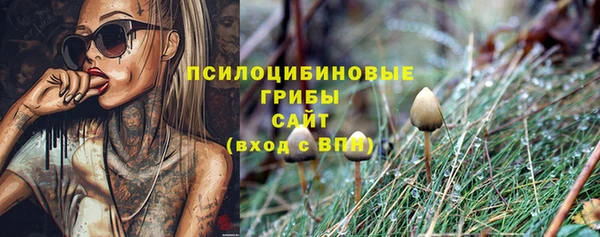 амф Ельня