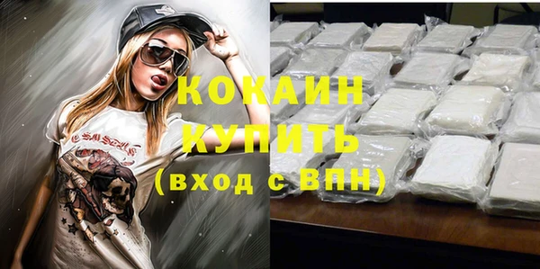 соль ск Елизово