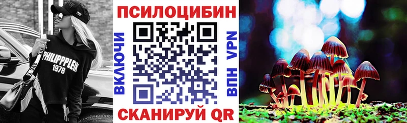 Купить закладки  Набережные Челны  Псилоцибиновые грибы Psilocybe 